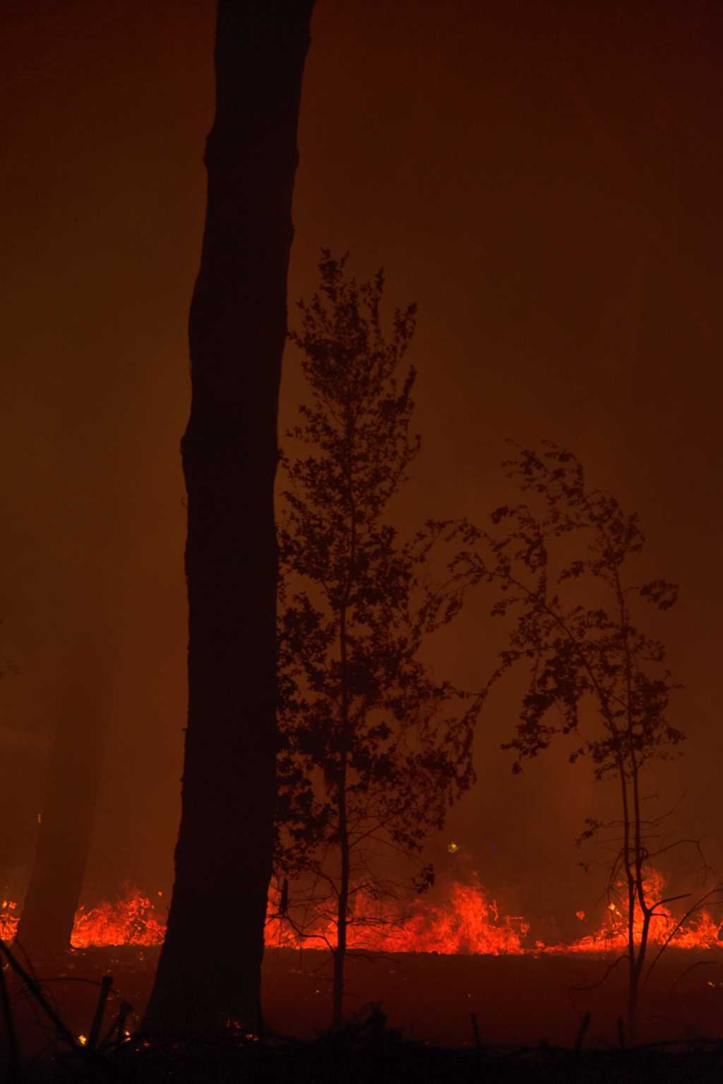 Incendio nella pineta delle Acque Rosse